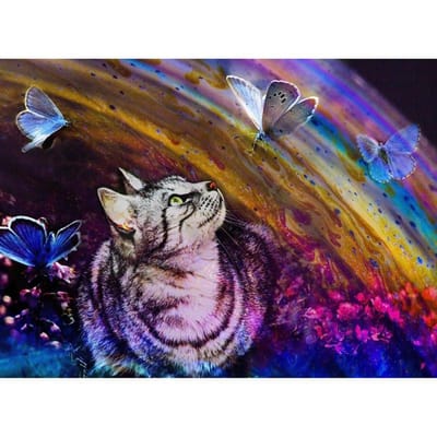 5D DIY Diamond schilderij kat en vlinder borduurwerk mozaïek kruissteek strass decor 20X30CM gray