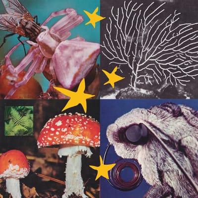 Various Artists - All Things Considered Vol.2 (LP)