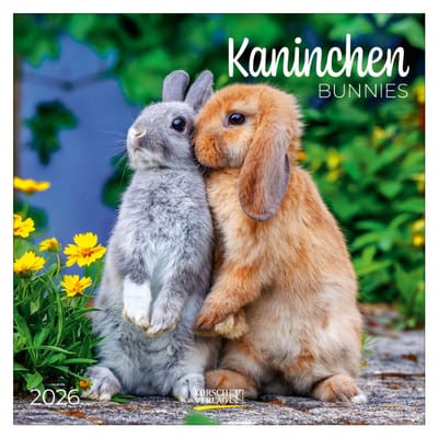 Konijnen - 2026