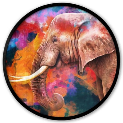 Poster in lijst Rond - Fotolijst 40x40 cm - Posters - Schilderij - Olieverf - Regenboog - Olifant - Ronde posterlijst zwart - Decoratie - Wanddecoratie woonkamer - Muurdecoratie slaapkamer