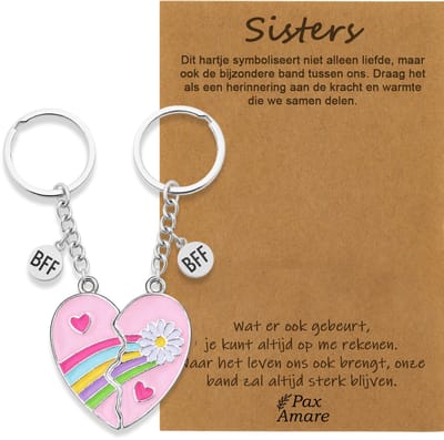 BFF Sleutelhanger voor 2 'Sisters' - Roze Hartje met Bloem - Sleutelhangers op Cadeau Kaartje - Zilverkleurig - Vriendschap Symbool - Pax Amare