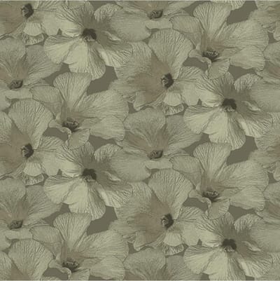 Annuell Hibiscus zand 11005