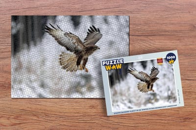 Puzzel Steppe buizerd vliegt in de winter in een besneeuwd landschap - Legpuzzel - Puzzel 1000 stukjes volwassenen