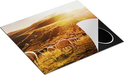 Chefcare Inductie Beschermer Schapen in de Heuvels bij Zonsondergang - 60x50 cm - Afdekplaat Inductie - Kookplaat Beschermer - Inductie Mat