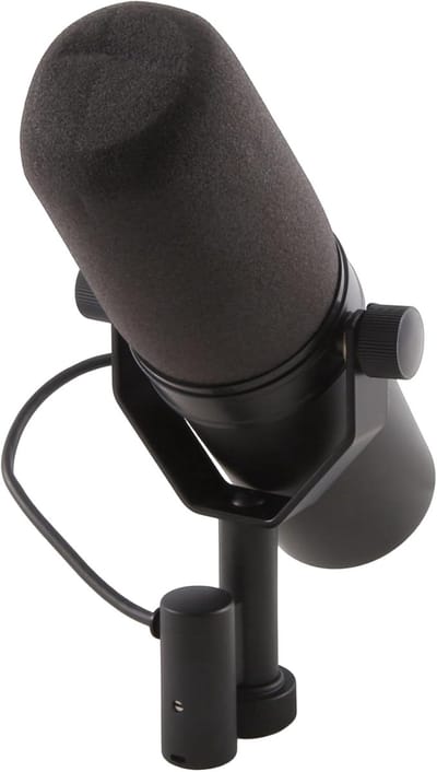 Dynamische Microfoon - Opname Microfoon - Podcasting Studio - Nierkarakteristiek - 34x18x12cm
