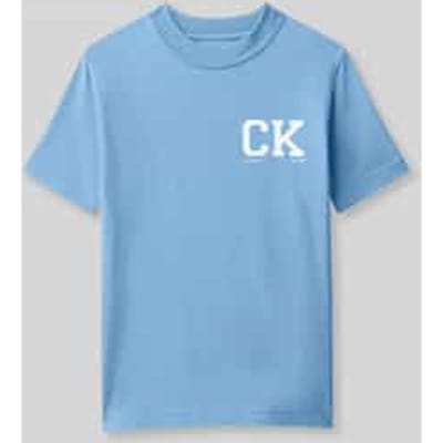 Calvin Klein Boys Chest Logo Ss T-shirt Provence Taglia: 14 | T-shirt Outlet | kids