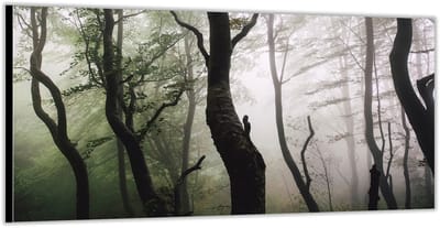 KuijsFotoprint - Schilderij - Mistig Bos - Wit, Groen En Bruin - 100 X 200 Cm