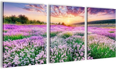 Set van 3 Moderne Schilderijen Lavendelvelden - Klaar om op te Hangen voor Woonkamer en Slaapkamer