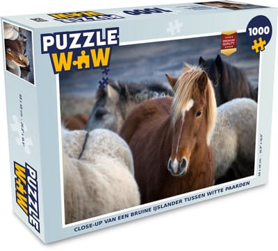 Puzzel Close-up van een bruine IJslander tussen witte paarden - Legpuzzel - Puzzel 1000 stukjes volwassenen
