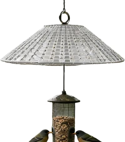 Beschermhoes Vogelvoederhuis - Voederhuis bescherming - Vogels voeren - Eekhoornwerend ontwerp - 30 x 30 cm - Transparant