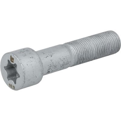Schroef LEMA 9016042.1