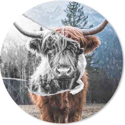 Muismat rond 20x20 cm - Mousepad Dieren - Schotse Hooglander - Stier - Ronde muismatten