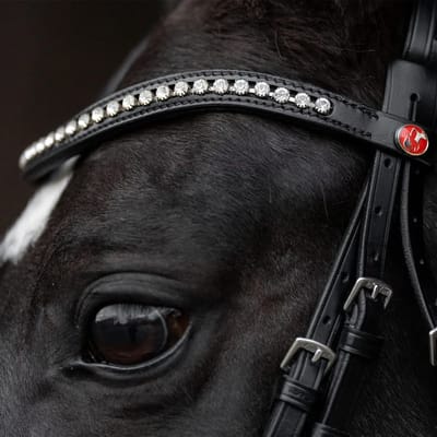 Gecombineerd hoofdstel met neusriem Kieffer Comfort Paris
