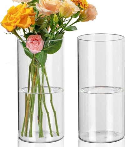 Set van 2 cilindervazen van 20 cm hoog, helder glas voor DIY-projecten, kaarsenhouders en bloemstukken in woonkamer, kantoor of op bruiloften