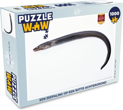Puzzel Een zeepaling op een witte achtergrond - Legpuzzel - Puzzel 1000 stukjes volwassenen