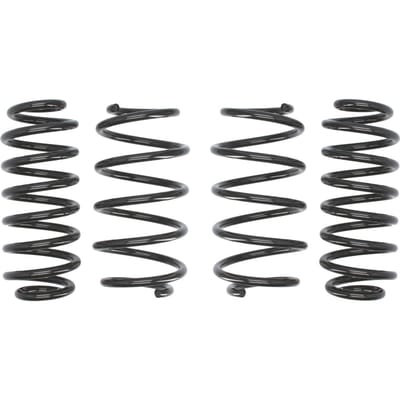 Veren EIBACH Pro Kit E10-79-004-01-22