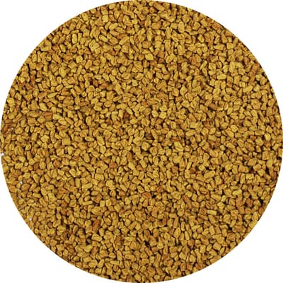 Van Beekum Specerijen - Foenegriek / Fenegriek Heel - 20 KG - Zak (bulk verpakking)