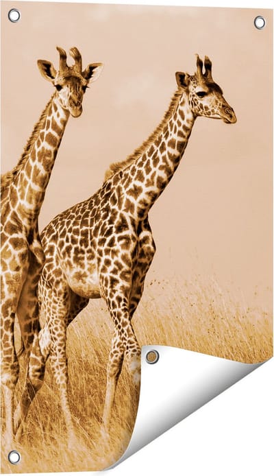 Gards Tuinposter Twee Giraffes in het Veld - 40x60 cm - Tuindoek - Tuindecoratie - Wanddecoratie buiten - Tuinschilderij