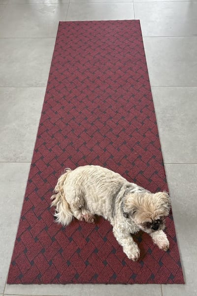 JYG Vloerkleed UNION - Keukenmat - Keukenloper - Anti Slip - 66x250cm - BORDEAUX