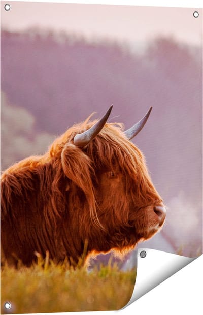 Gards Tuinposter Schotse Hooglander Koe Ligt in het Gras - 60x80 cm - Tuindoek - Tuindecoratie - Wanddecoratie buiten - Tuinschilderij