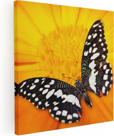 Artaza Canvas Schilderij Bloem Met Vlinder - 30x30 cm - Klein - Muurdecoratie Vlinders - Wanddecoratie Bloemen - Schilderijen Op Canvas
