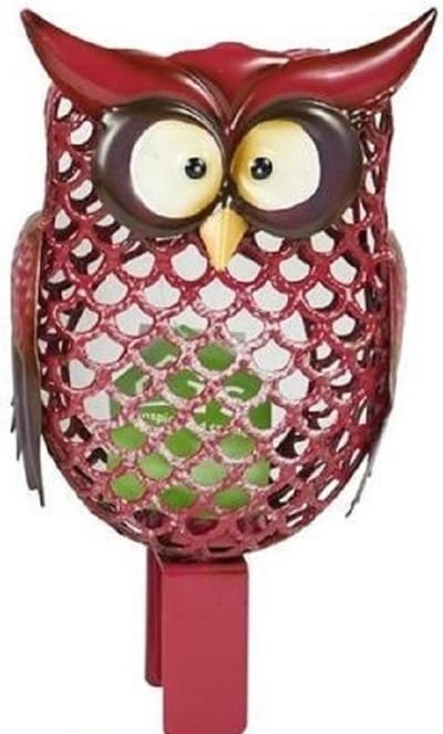 Tuin uil-rood--tuindecoratie-Animal King
