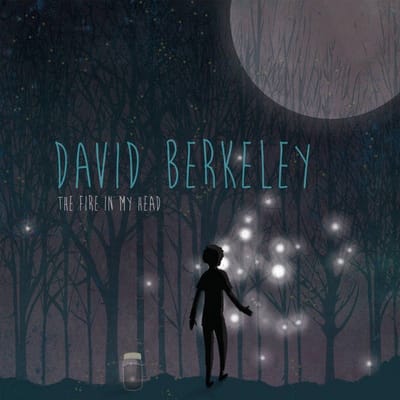 David Berkeley - The Fire In My Head (CD)