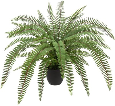 Dailygoody - Kunstplanten - Varenplanten Groot - Modern Decor - Kunststof Planten - Perfect voor Woonkamer en Balkon Decoratie