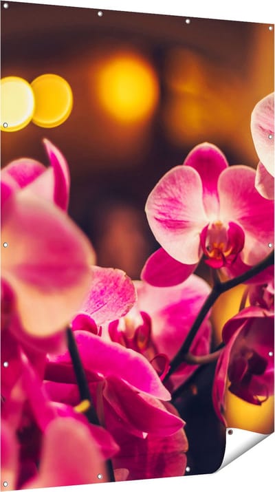 Gards Tuinposter Roze Orchidee Bloemen - 120x180 cm - Tuindoek - Tuindecoratie - Wanddecoratie buiten - Tuinschilderij