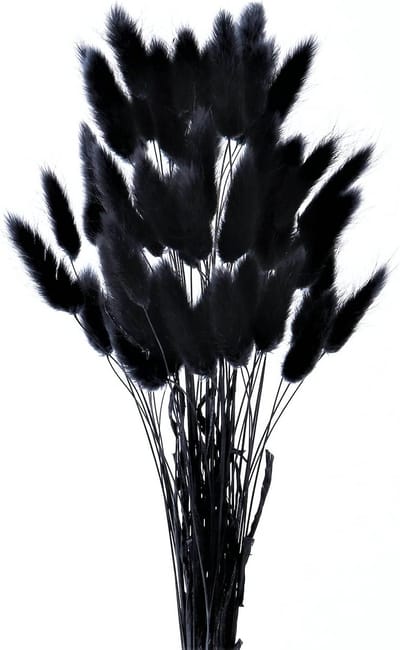 50 Stuks Zwart Gedroogd Pampas Gras & Bunny Tails Boeket voor Boho Decoratie