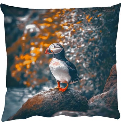 Sierkussens - Kussentjes Woonkamer - 50x50 cm - Papegaai - Vogel - Rots - Wit