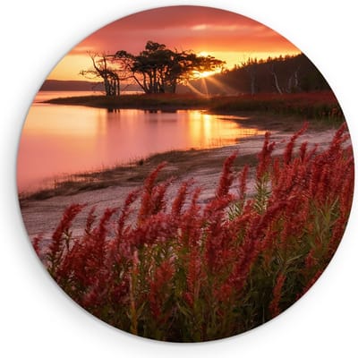 Saammp Muurcirkel Hout - Rode Planten - Landschap - Zon - Bloemen - Natuur - Ø 90 - Wandcirkel - Wanddecoratie Cirkel - Muurdecoratie Woonkamer - Slaapkamer decoratie - Rond Schilderij