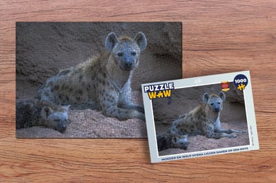 Puzzel Hyena - Welp - Rots - Legpuzzel - Puzzel 1000 stukjes volwassenen