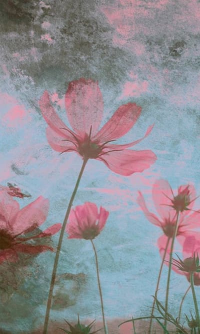 Fotobehang - Pink Flower Abstract 150x250cm - Vliesbehang