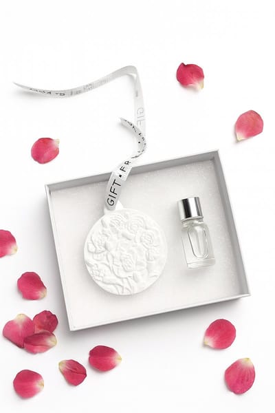 Afecto geursteen - Geursteen + parfum - Met hanger - voor in kast, auto, slaapkamer, wc etc. - steen met aroma - Geurverspreider - Geur Diffuser - Etherische olie - Autoparfum -
