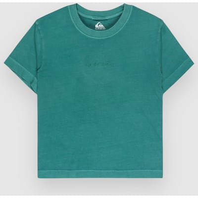 Quiksilver Essential T-Shirt groen
