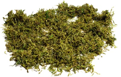ARTYFETES - Gedroogd plantenmos 50 gr voor natuurlijke decoratie