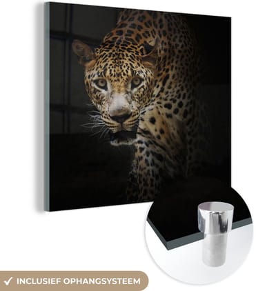 MuchoWow® Glasschilderij 50x50 cm - Schilderij acrylglas - Luipaard - Wilde dieren - Licht - Foto op glas - Schilderijen