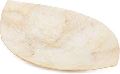 HomeBound by KY | Schaaltje schelp ovaal goud | decoratieve schaal | schaaltje