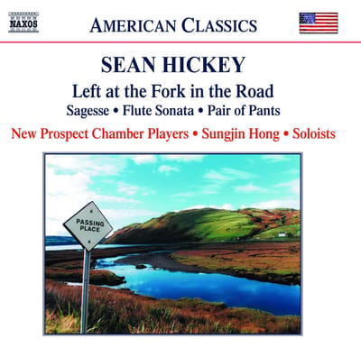 New Prospect Chamber Players, Sungjin Hong - Hickey: Left At The Fork In The Road - Sagesse - Flute Sonata - Pair Of Pants (CD)