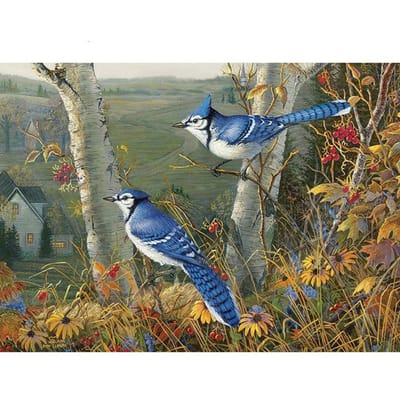 5D DIY Diamond schilderij twee blauwe vogels borduurwerk mozaïek kruissteek strass decor 20X30CM gray