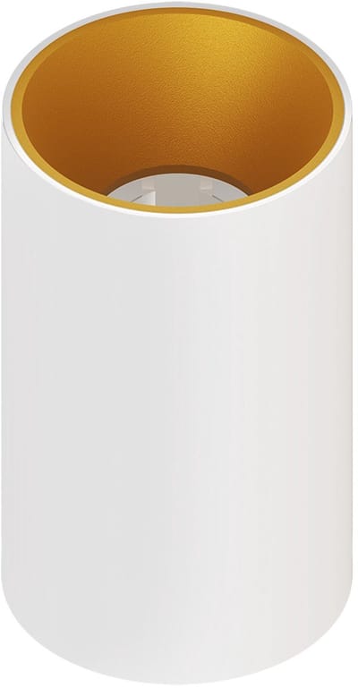 Ledvion – LED Opbouwspot Rond ø80mm – Wit / Goud – Dimbaar – GU10 – IP20