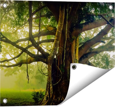 Gards Tuinposter Grote Levensboom met Veel Takken - 50x40 cm - Tuindoek - Tuindecoratie - Wanddecoratie buiten - Tuinschilderij