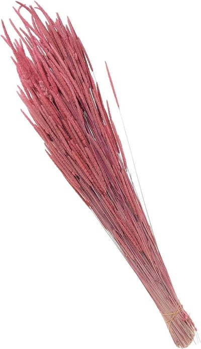 Gedroogde bloemen - Natuurlijke decoratie - Bloemschikken - Natuurlijk materiaal - 55 cm lang - Roze