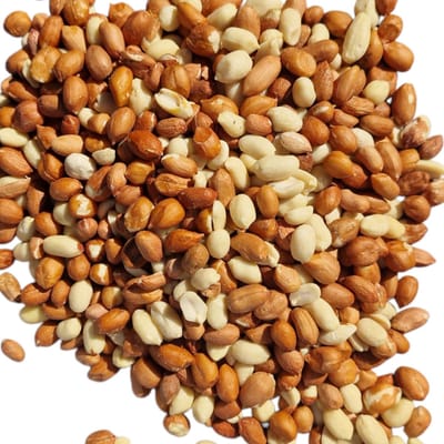 Topdiervoeding Gepelde Pinda's voor Vogels - Vogelvoer - 10 kg