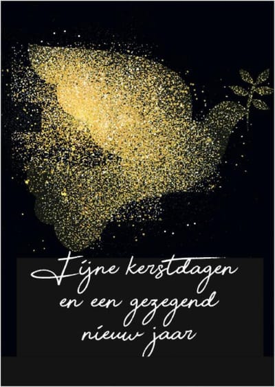 Christelijke kerstkaarten | Voordeelpakket | 10 kerstkaarten met enveloppen | Fijne kerstdagen - duif | MajesticAlly
