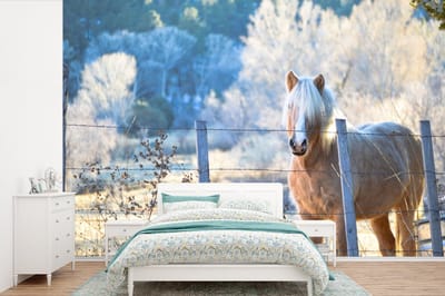 Behang - Fotobehang Paard - Winter - Sneeuw - Breedte 330 cm x hoogte 220 cm
