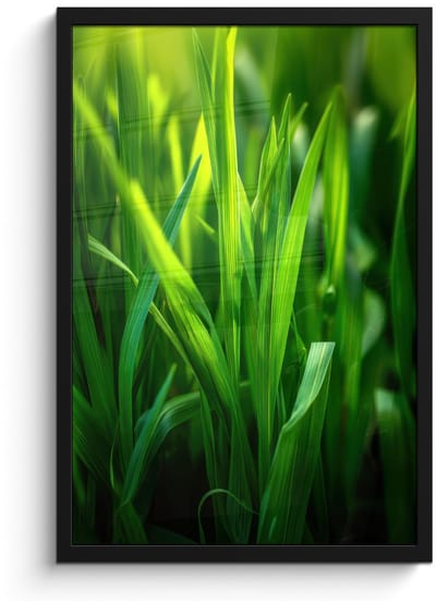 Poster in lijst - Fotolijst 40x60 cm - Posters - Grassprieten - Lichtinval - Groen - Posterlijst zwart - Decoratie - Wanddecoratie woonkamer - Muurdecoratie slaapkamer