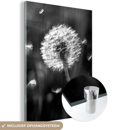 MuchoWow® Glasschilderij 30x40 cm - Schilderij acrylglas - Paardenbloem - Zwart - Wit - Plant - Foto op glas - Schilderijen