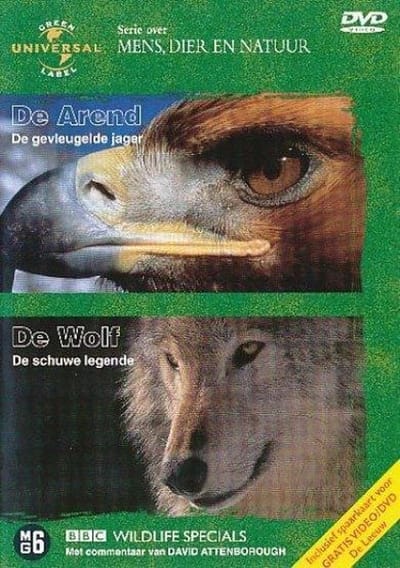 Wolf & Eagle (D)